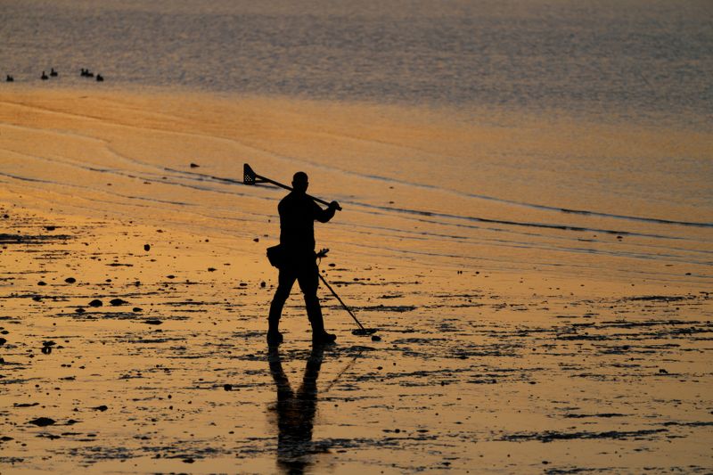 Waterproof pinpointer metal detector