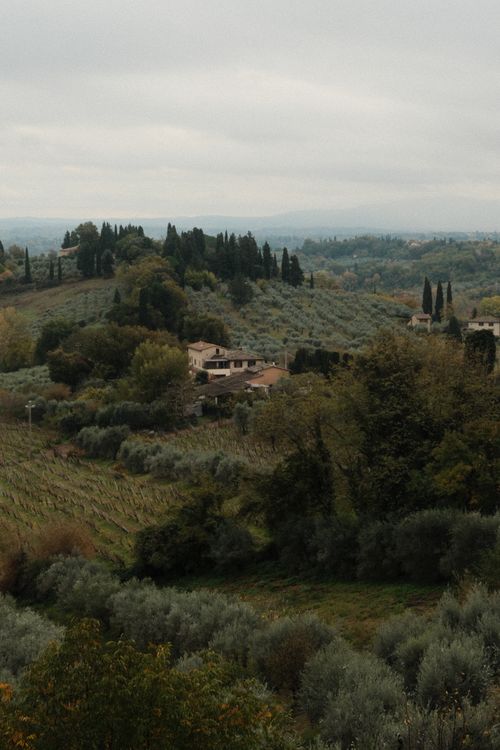Free A serene landscape of olive groves and cypress trees in Tuscany during autumn. Stock Photo