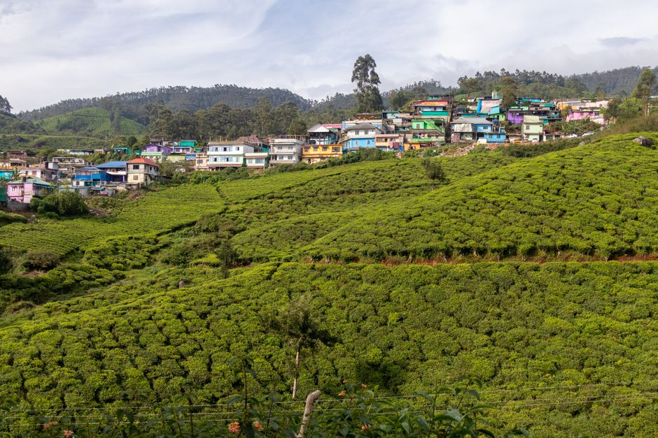 Munnar Travel Planners