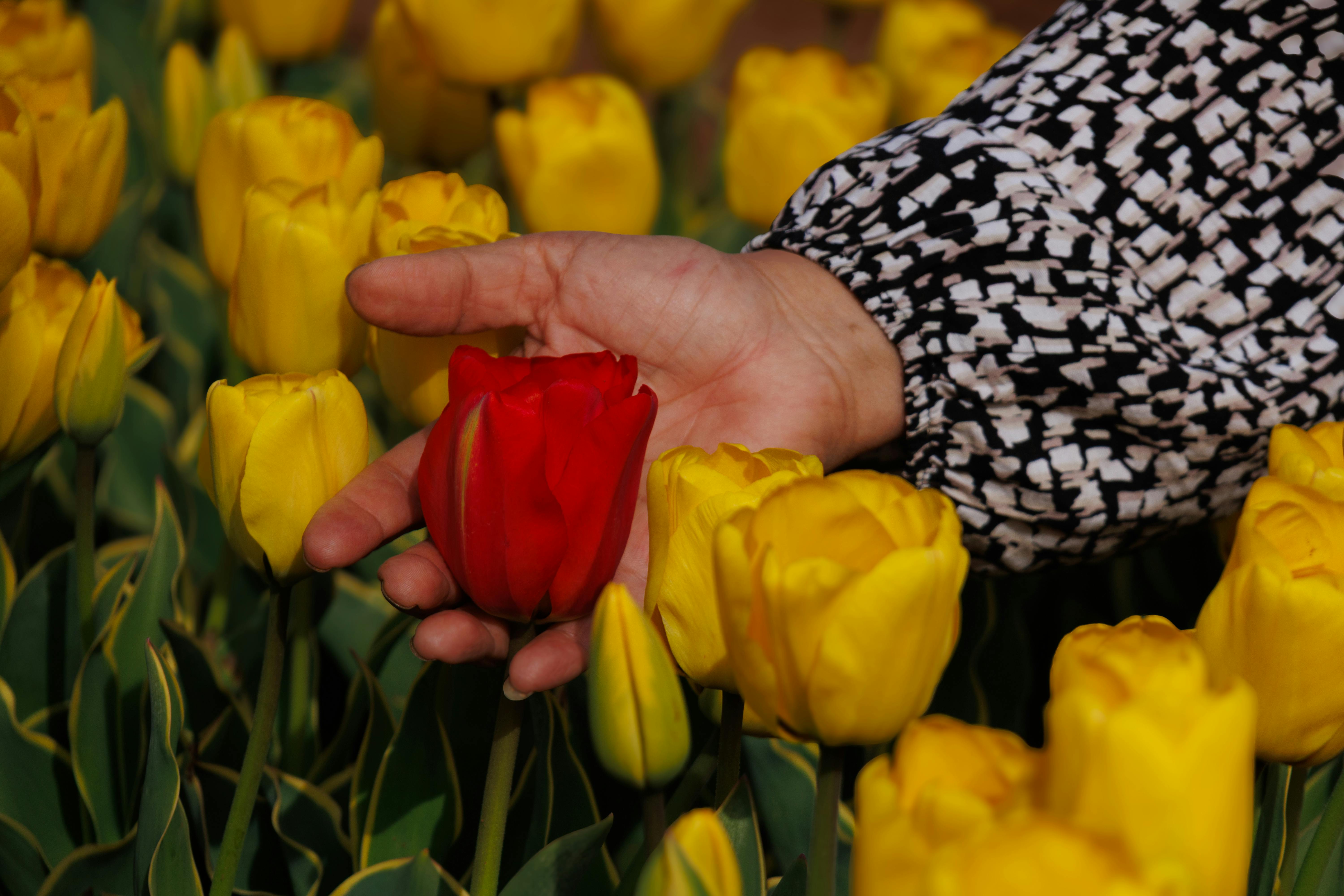 Liz Weston: Knowing difference between fee-based vs fiduciary advisors is key trustworthy investments - OregonLive.com — Phot