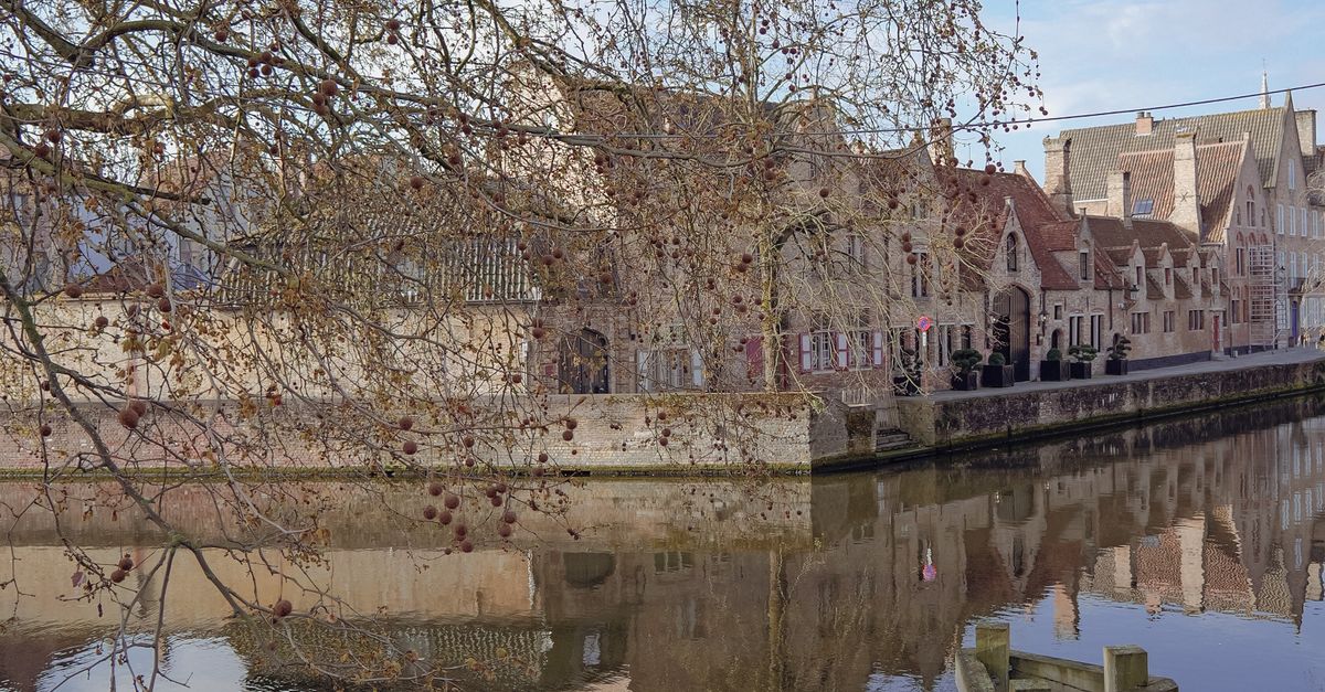 Ciudades con festivales y museos que sobresalen por habitante Ciudades con festivales y museos que sobresalen por habitante