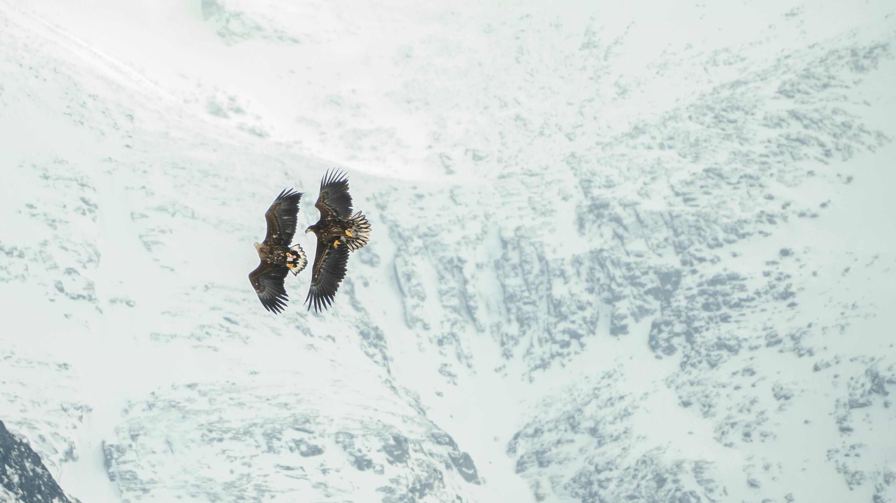 Alaska’s attorney general flew to South Africa and France. A corporate-funded group paid. — Photo by Peter Platou on Pexels