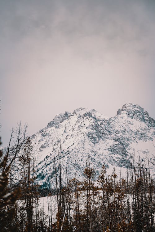 Snow Covered Mountain