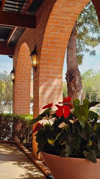 Charming view of a rustic terrace with a vibrant potted Anthurium under arched brick columns.