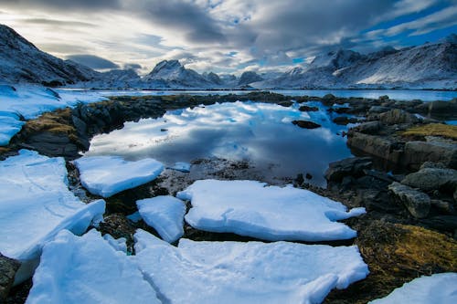 무료 바위에 빙산 스톡 사진