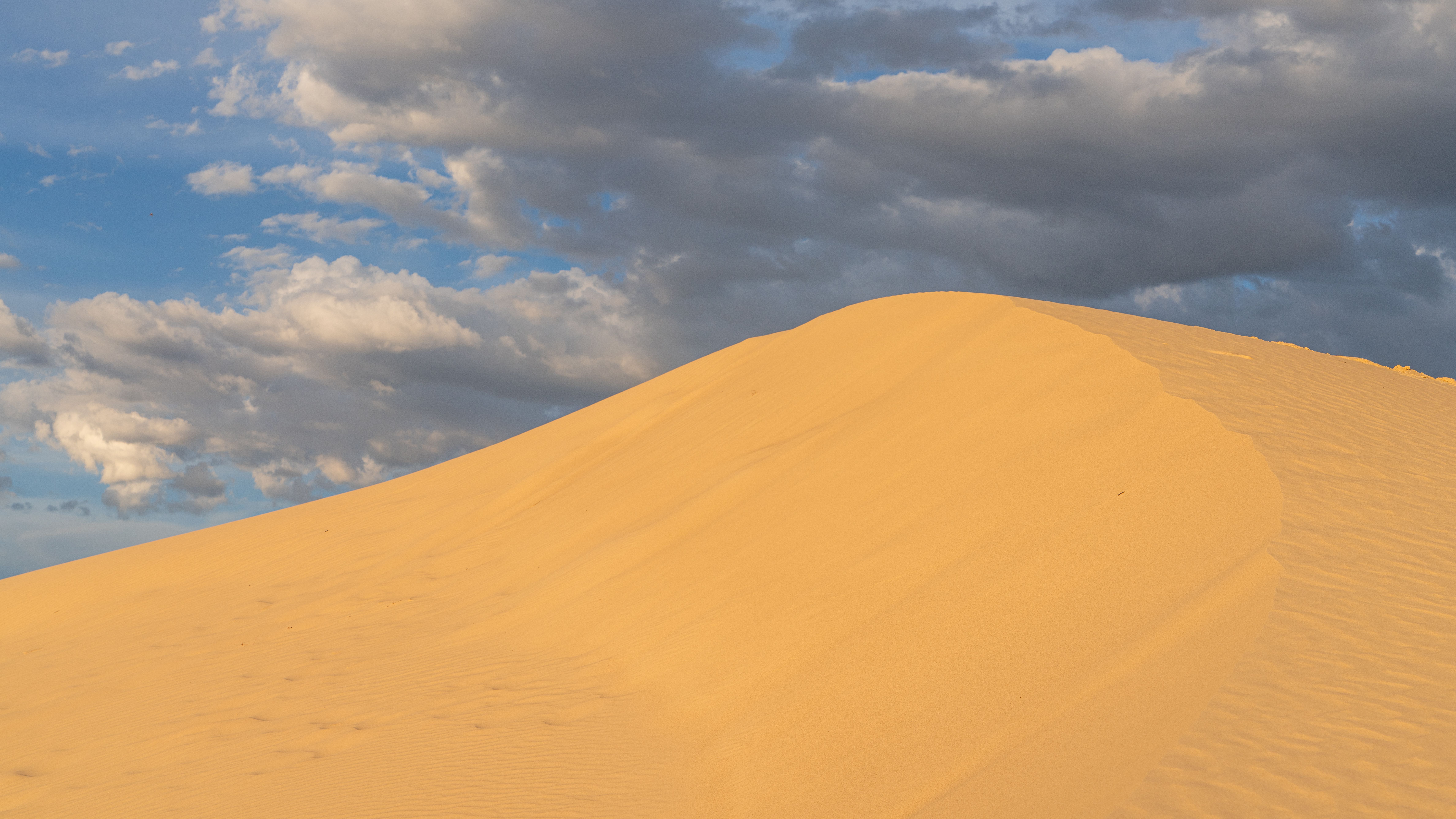 The Milky Way arching over the dark Sandhills dunes