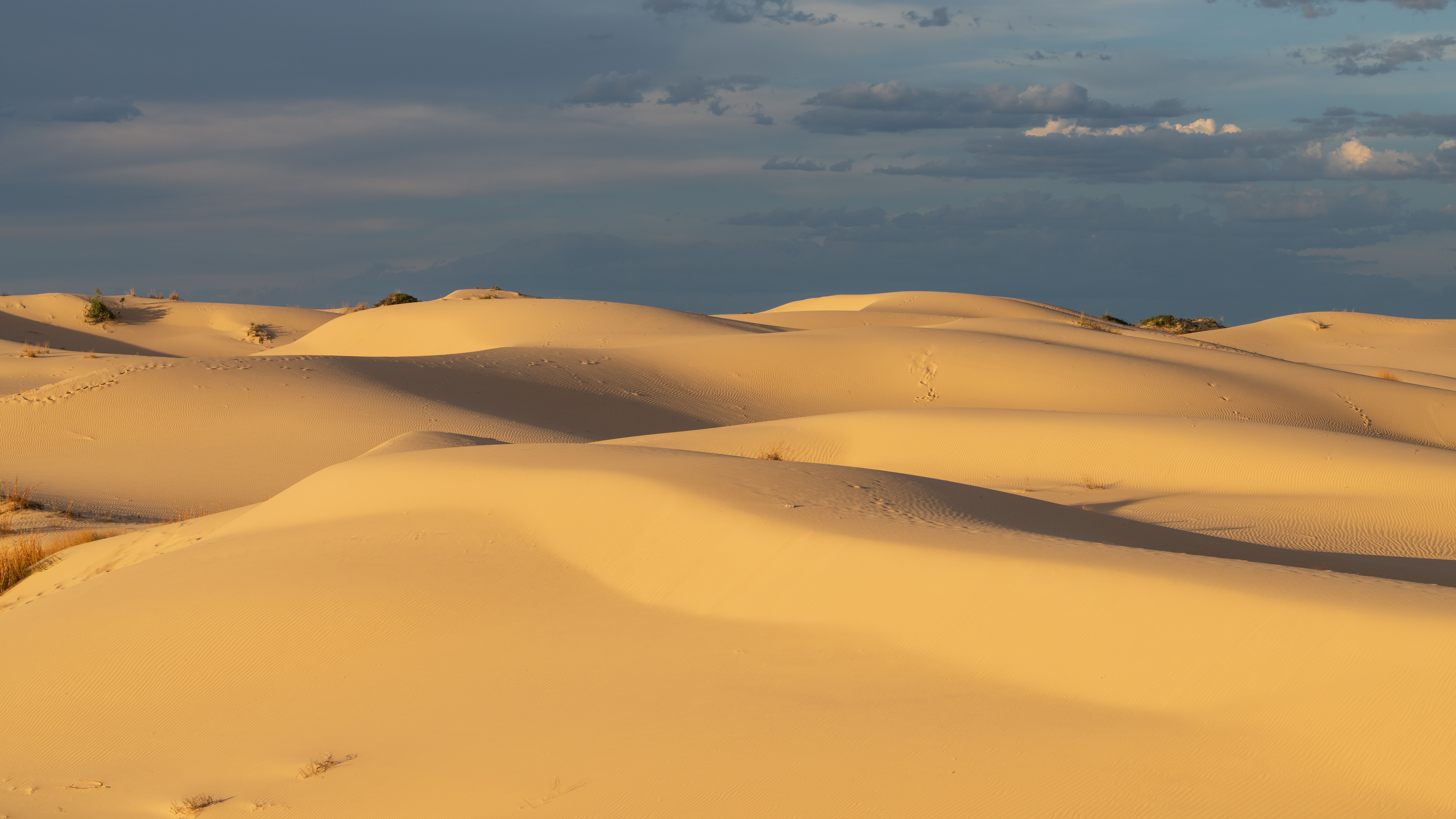 4 day New Moon Journey: Silent Meditation in Nature CA, US 3