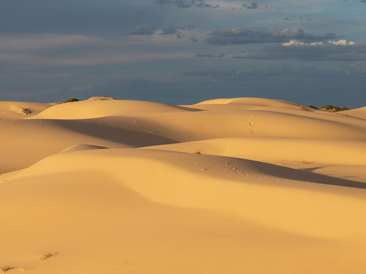 4 day New Moon Journey: Silent Meditation in Nature CA, US 3