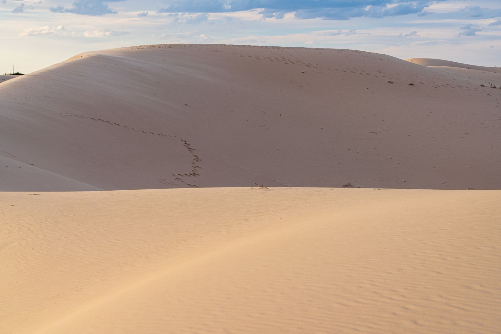 West Texas sand dunes near Odessa and the Permian Basin