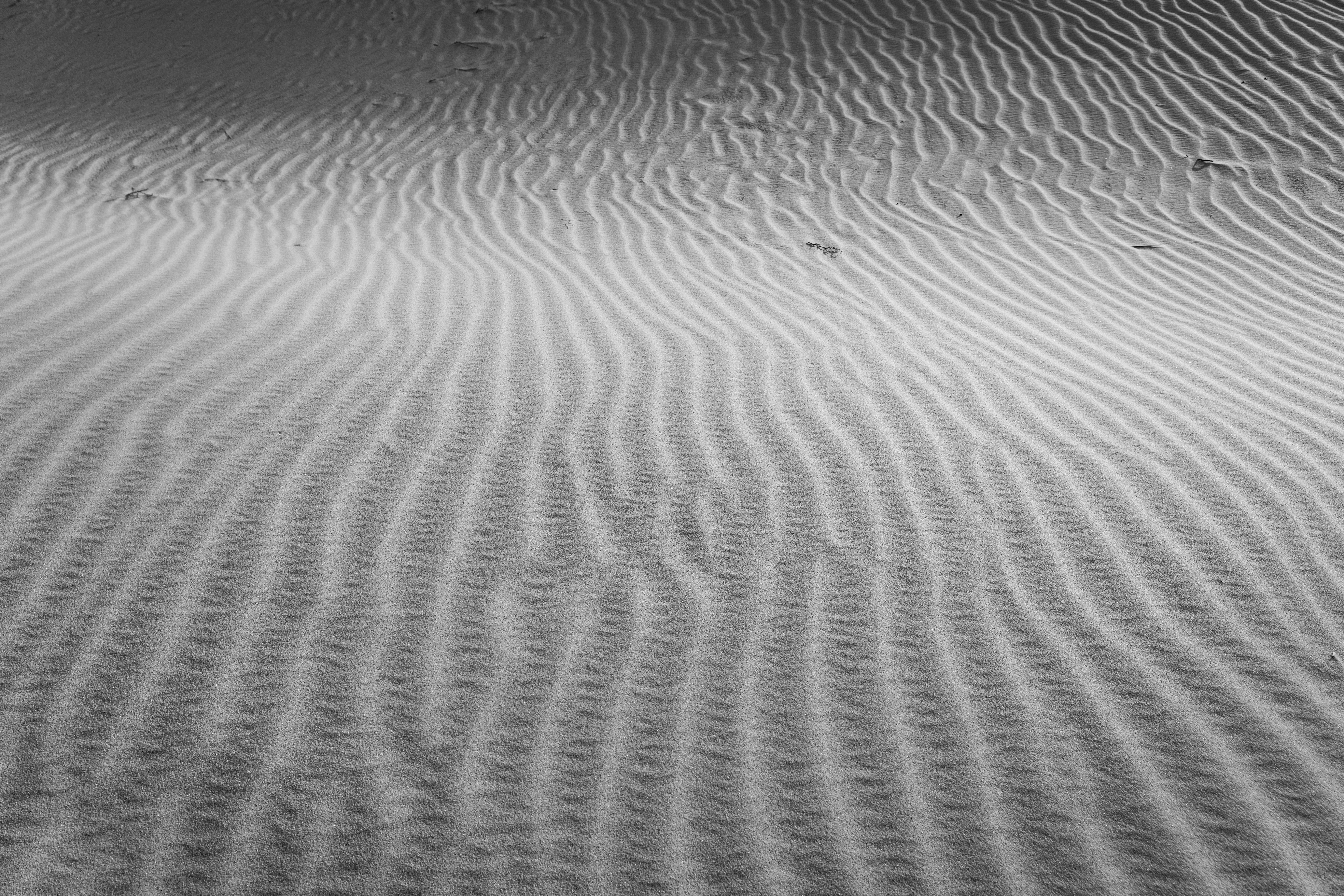 Textured sand dunes in Monahans, Texas captured in striking black and white.