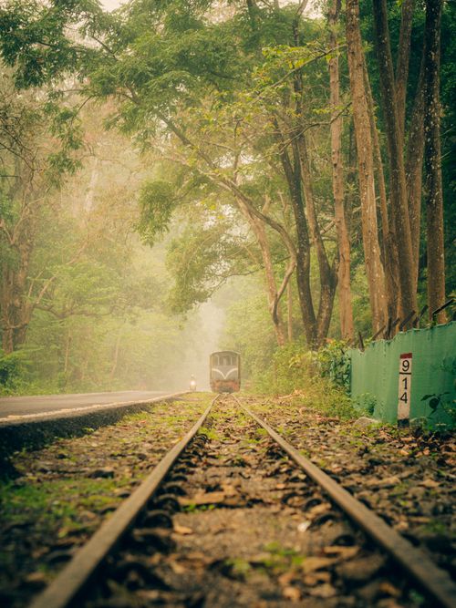 Free A peaceful railway track in a misty forest setting with lush green trees and a distant train. Stock Photo