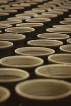 Board cover: handmade clay pots — Soumyojit Sinha on Pexels