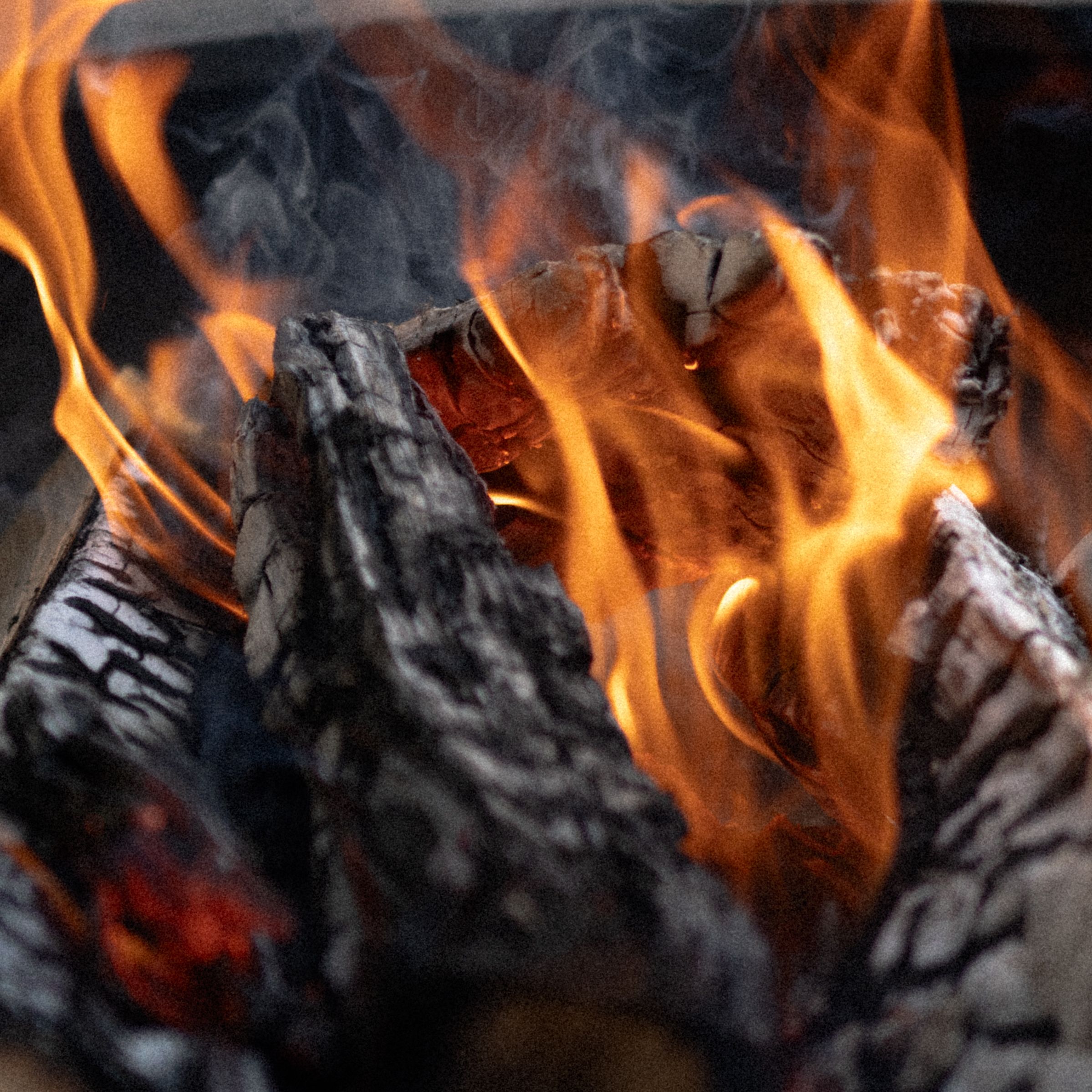 Close-Up of Burning Firewood with Flames · Free Stock Photo