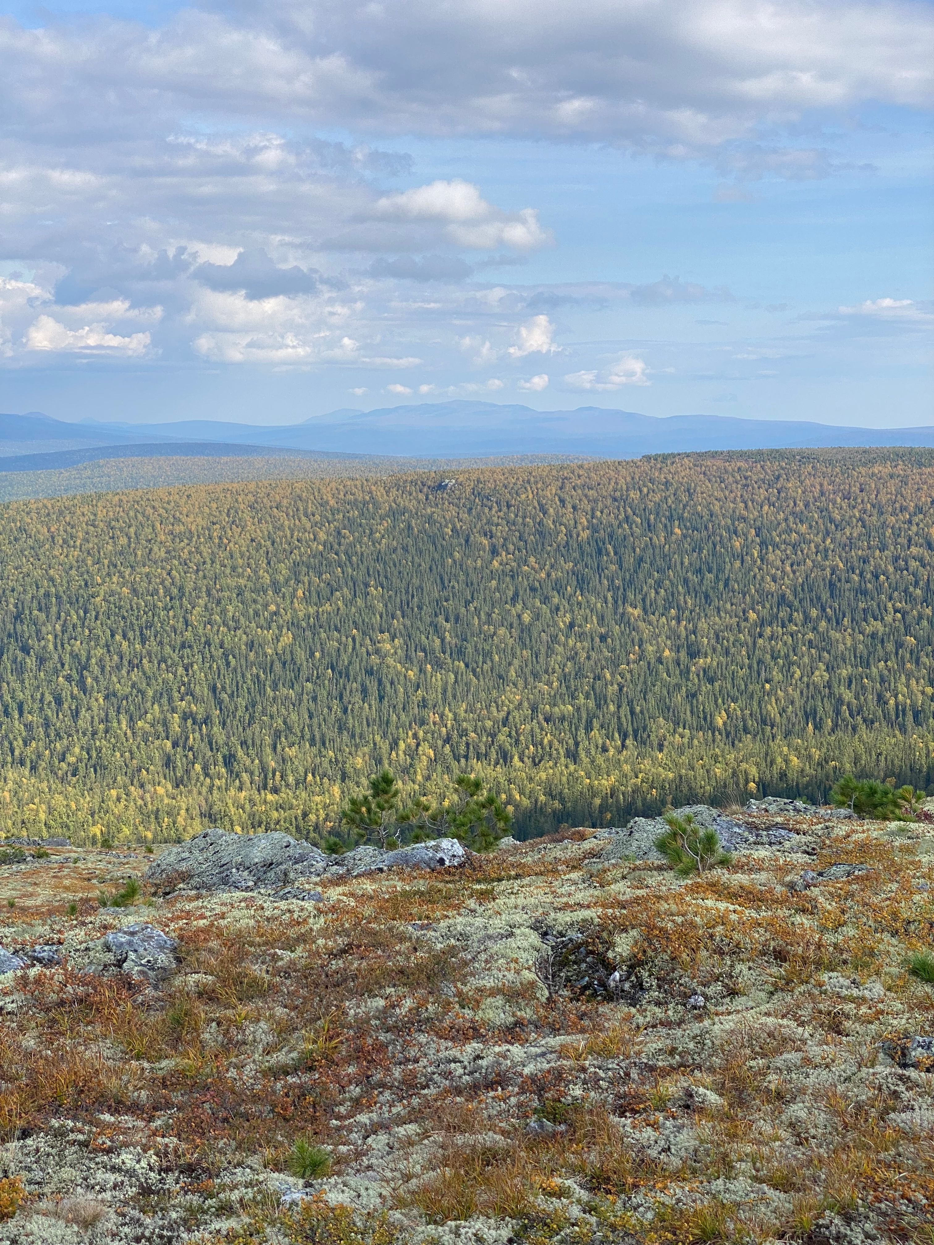 Kostnadsfria Hisnande panorama över skogsklädda berg i Komirepubliken, Ryssland, under en delvis molnig himmel. Stock foto