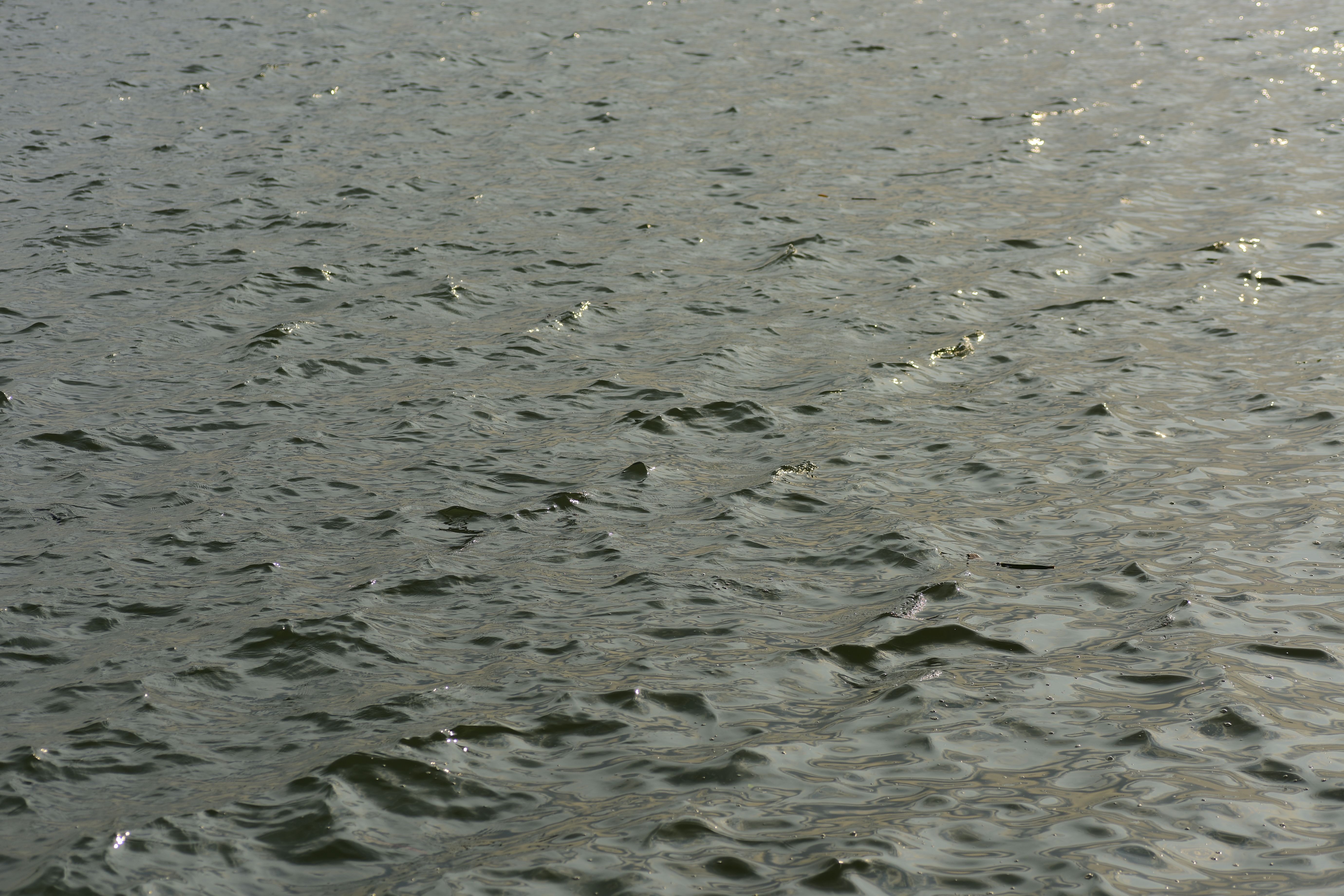 Calm water surface with gentle ripples and sunlight reflections creating a serene mood.