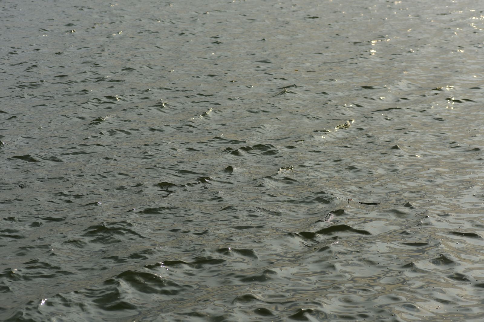 Water Ripple Texture Photos, Download The BEST Free Water Ripple ...