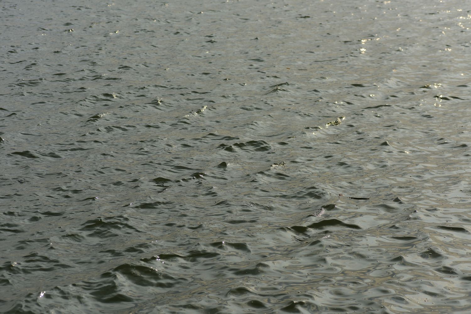 Water Ripple Texture Photos, Download The BEST Free Water Ripple ...