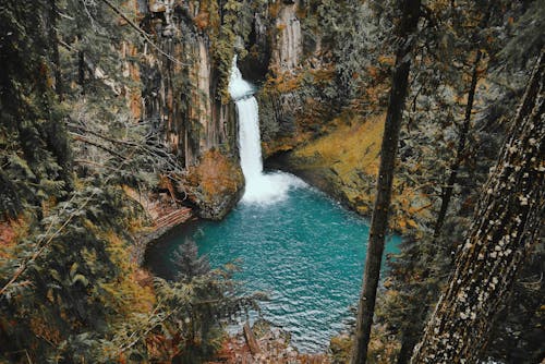 無料 森の中の滝のタイムラプス写真 写真素材