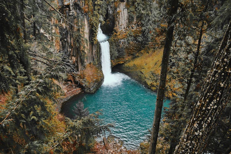 Time-lapse Photo Of Water Falls In The Forest