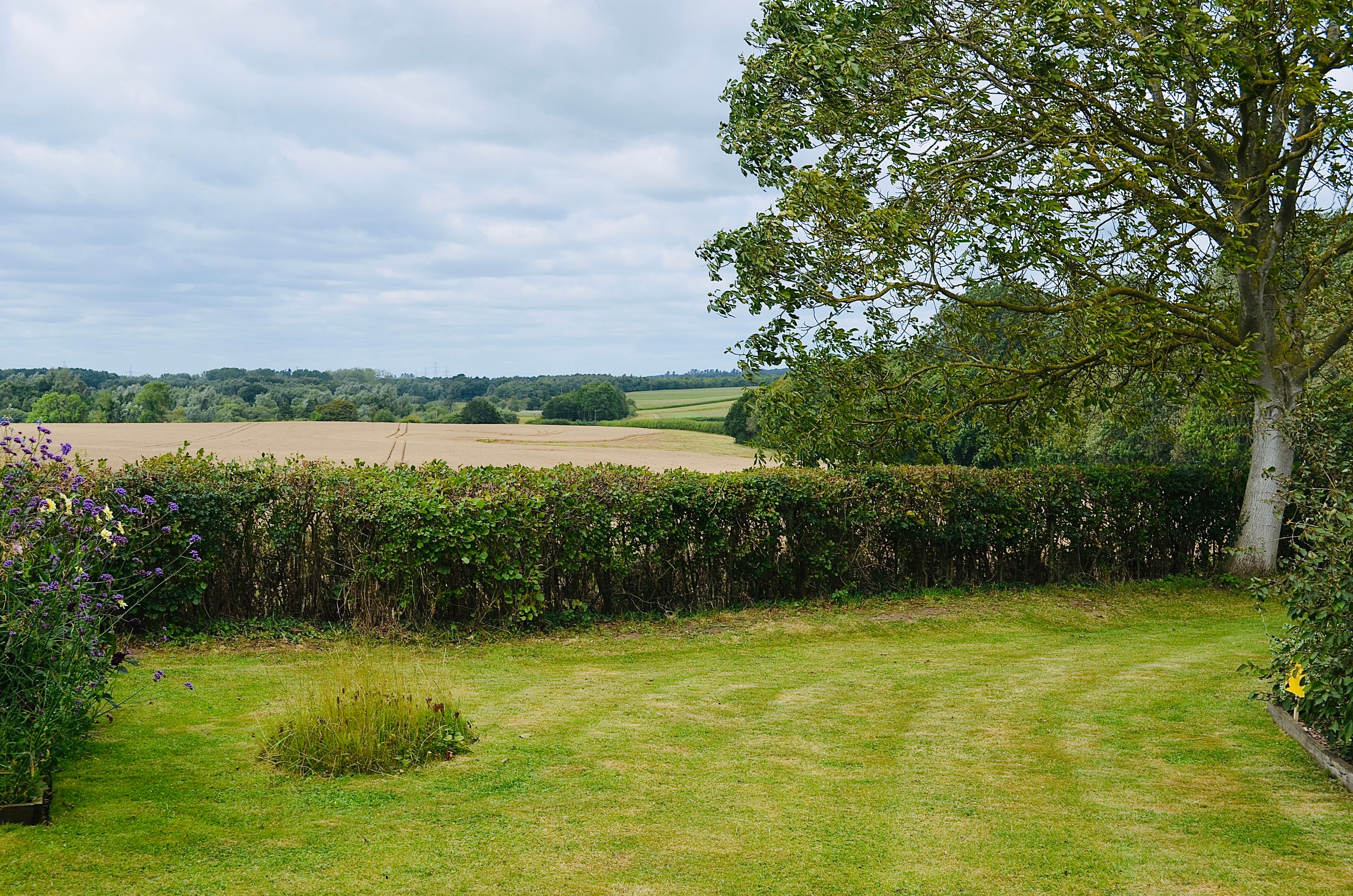 Garden clearance and preparation