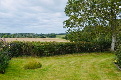 Free Peaceful countryside view with trees, hedgerows, and open fields under a cloudy sky. Stock Photo