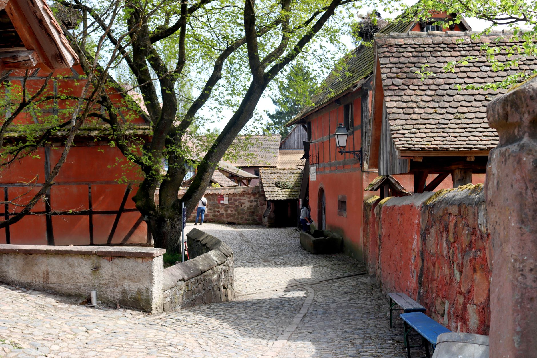 Riquewihr, Desa Terindah di Alsace Prancis: Permata Tersembunyi yang Wajib Dikunjungi!