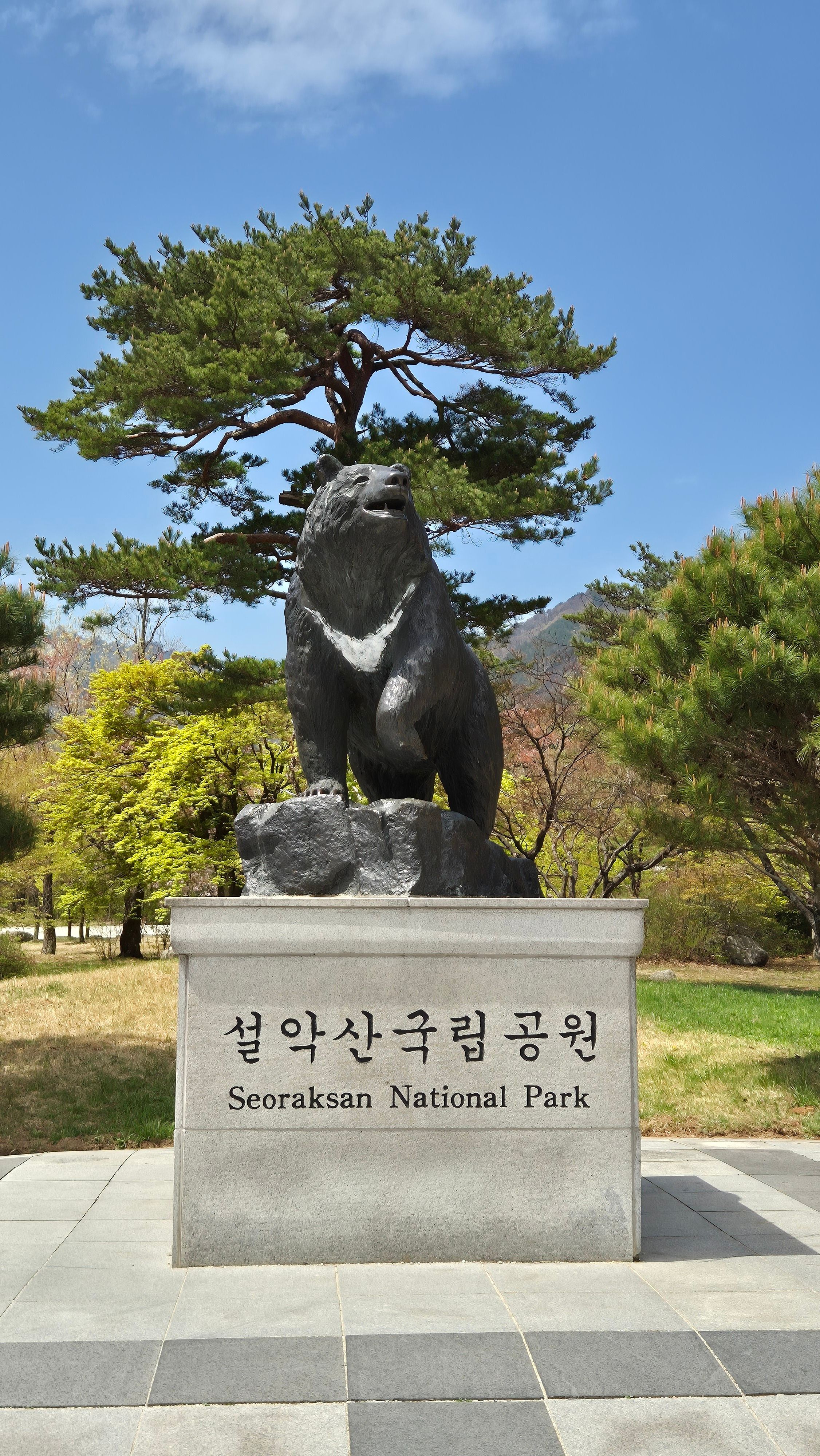 honeymoon korea selatan destinasi romantis dengan suasana alam dan pegunungan untuk pasangan