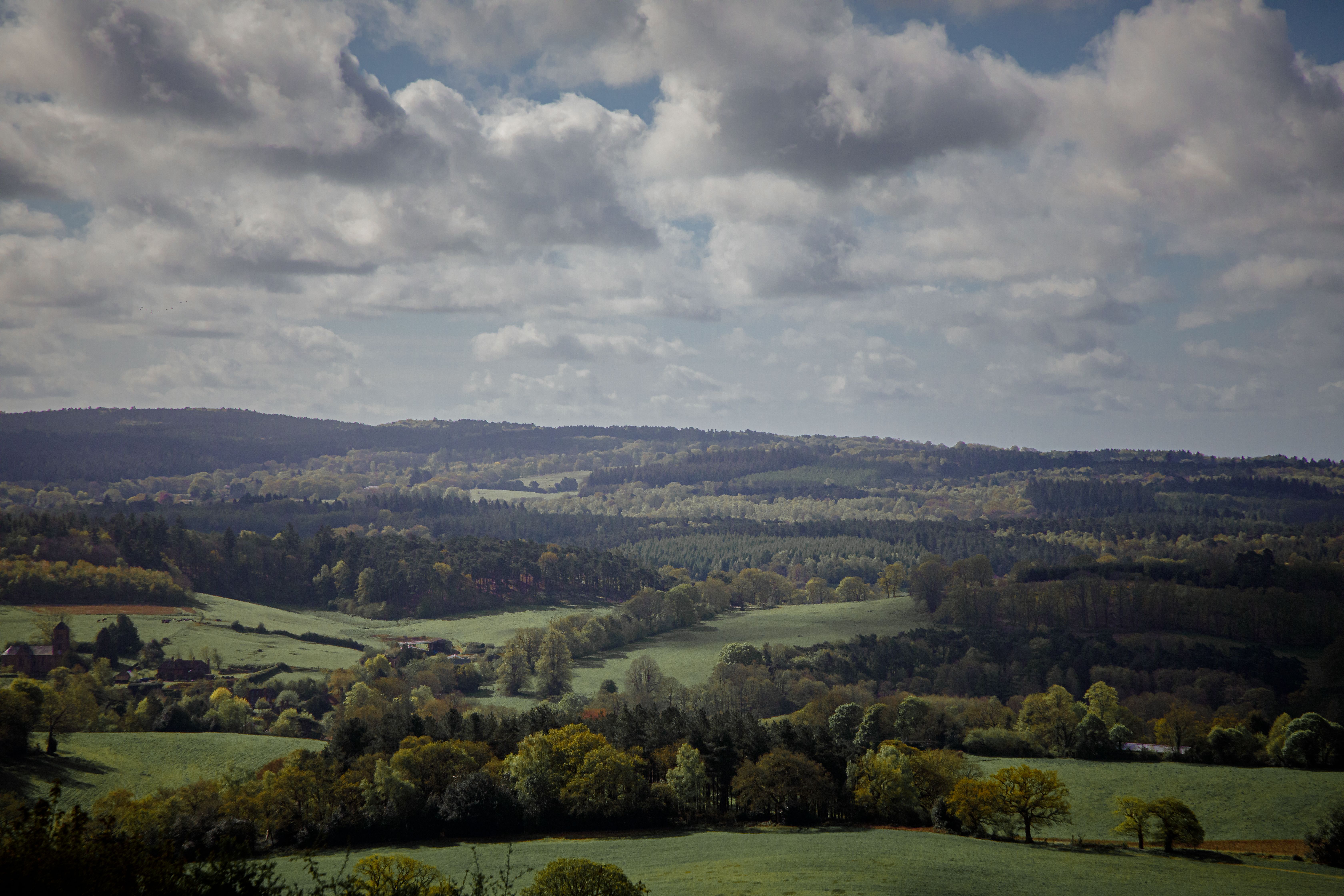 3 Day Soulful Yoga, Nature Walks & Restorative Escape in Devon 3