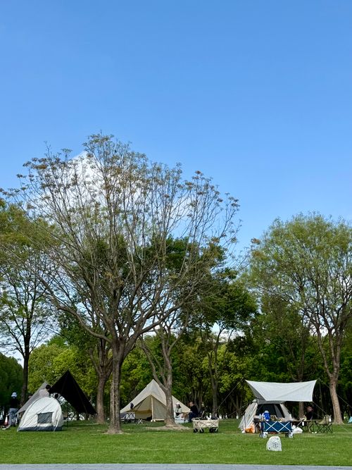 Free Tents set up beneath trees in a serene Shanghai park on a clear day. Stock Photo