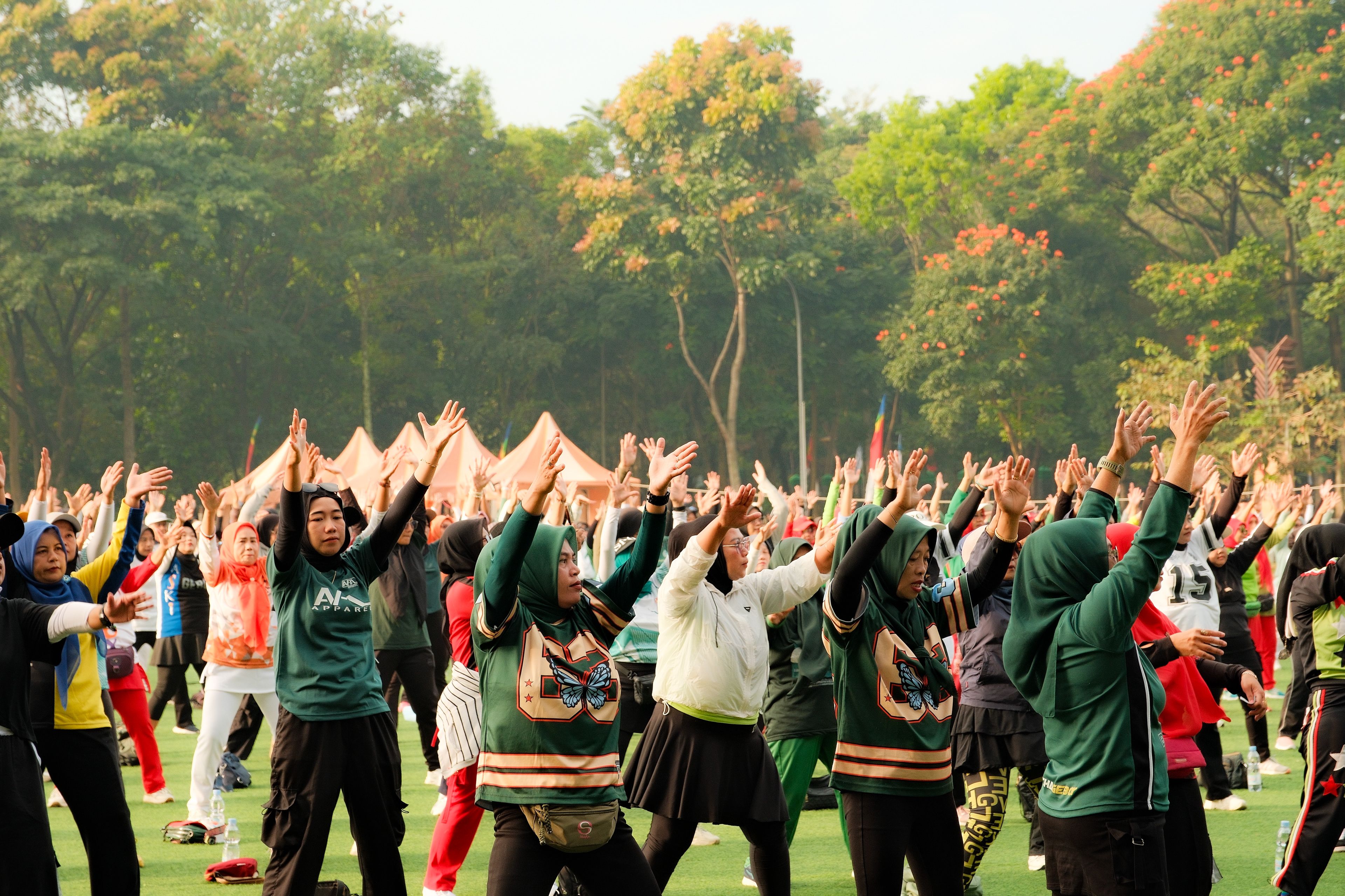 Large Group Outdoor Aerobics Class in Park
