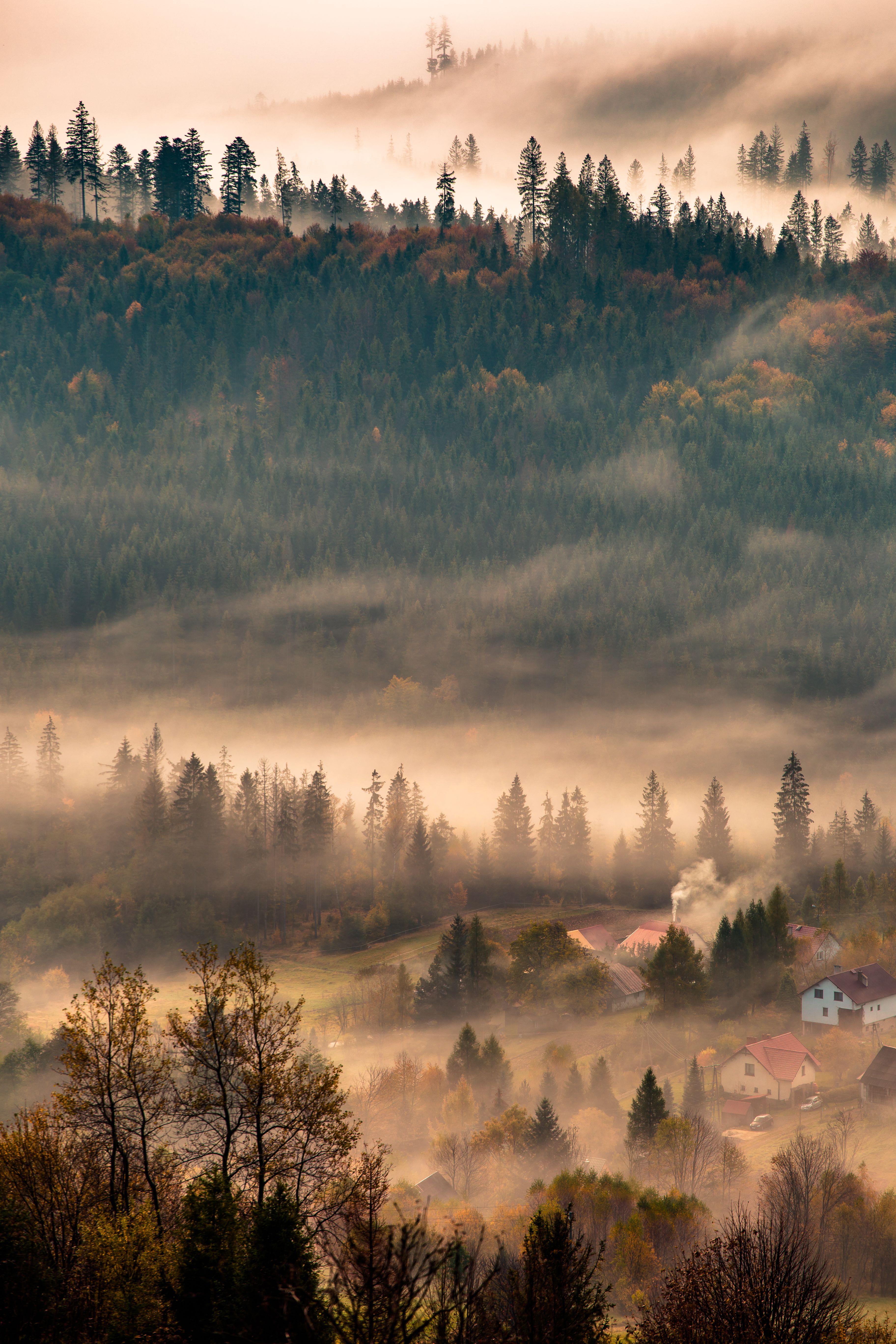 Misty Autumn Forest Landscape with Village · Free Stock Photo