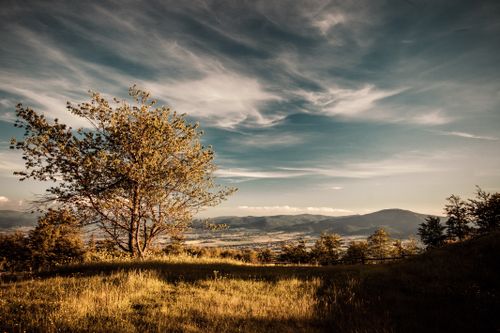Free A picturesque mountain landscape featuring a lone tree under a dramatic sky during sunset. Stock Photo