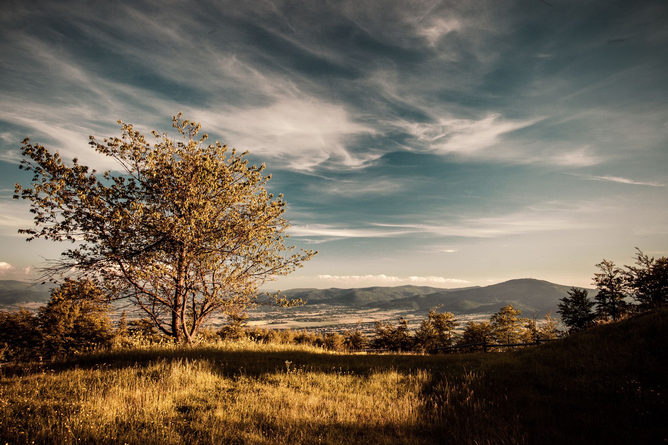 Serene Mountain Landscape with Lone Tree at Sunset · Free Stock Photo