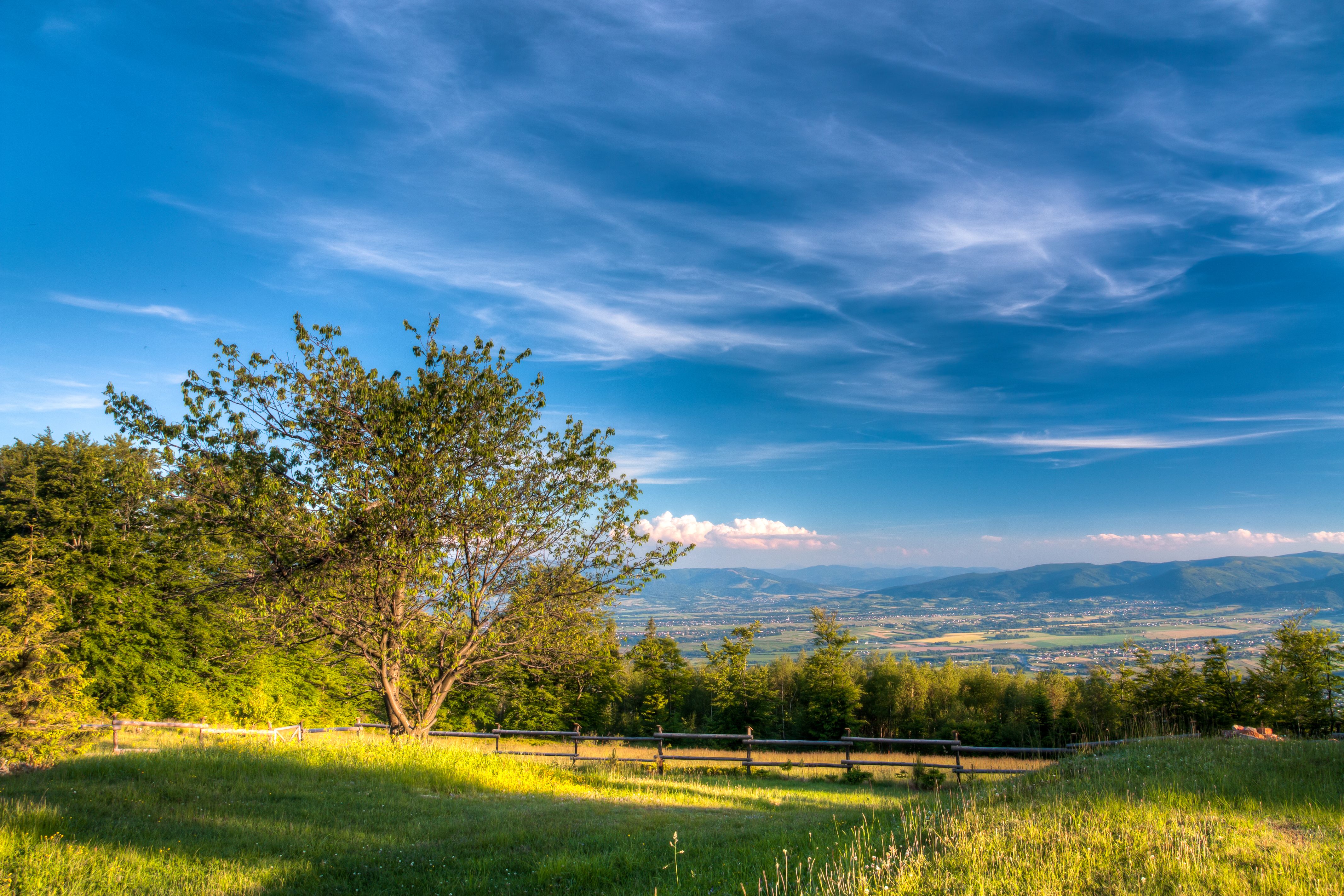 Scenic Landscape with Lush Greenery and Mountains · Free Stock Photo