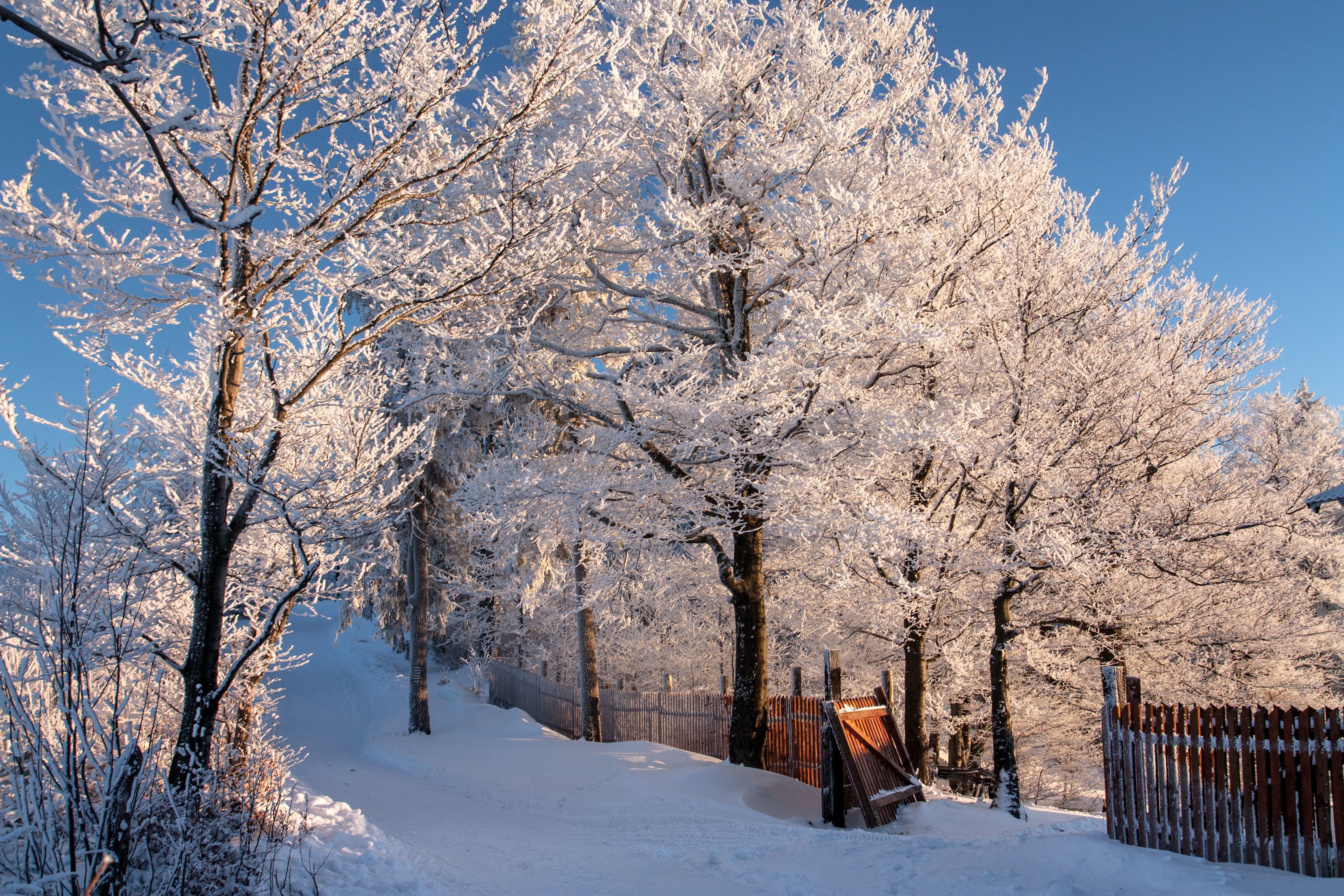 Beautiful Winter Landscape · Free Stock Photo