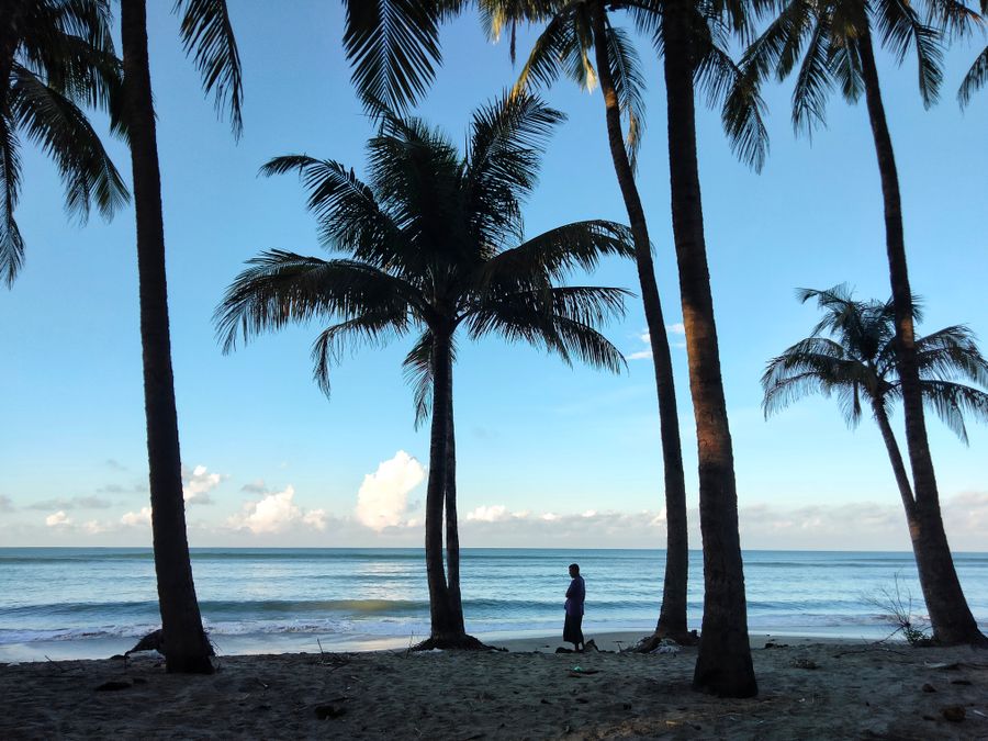 Palm trees on the beach at Cox’s Bazar
