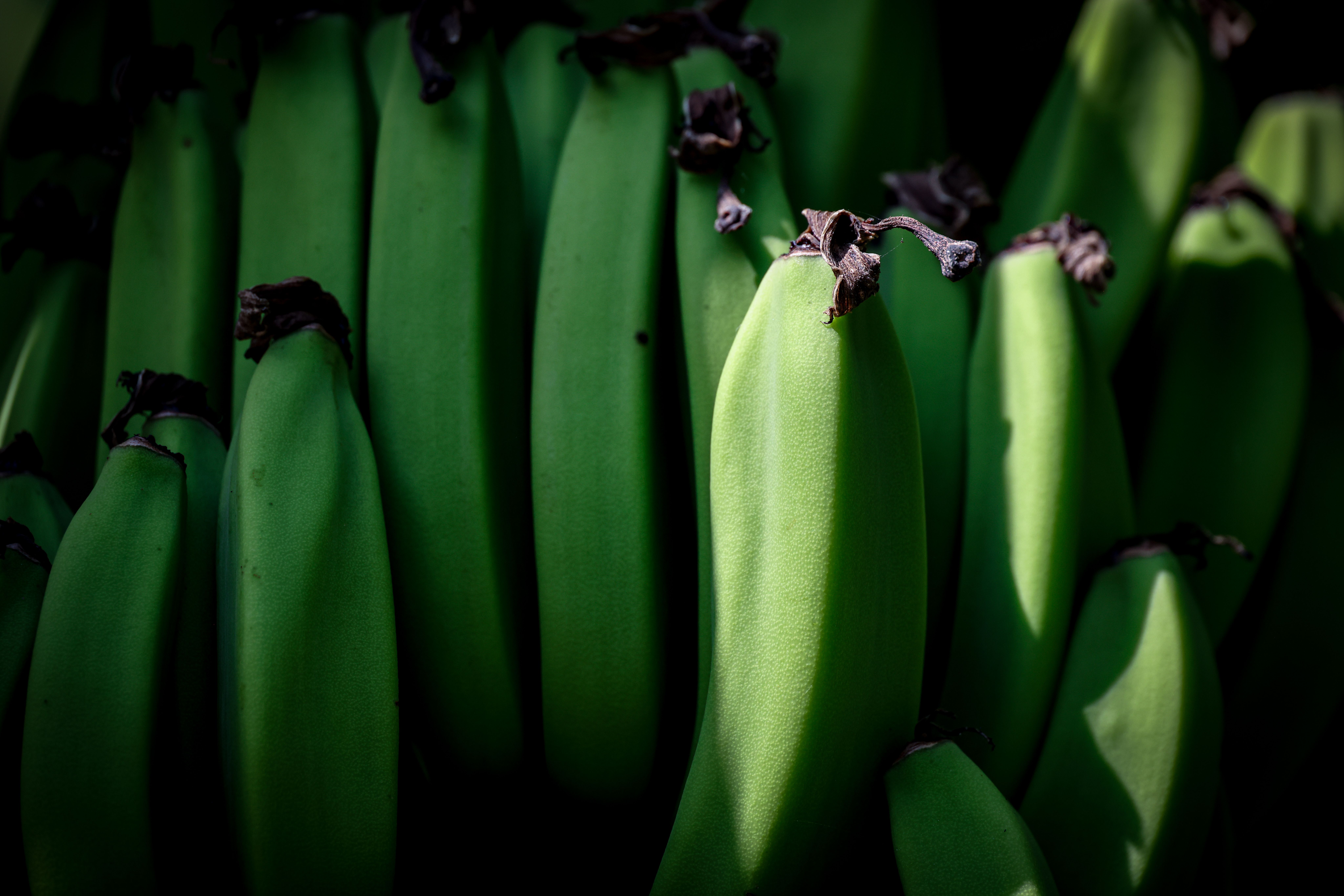 Plateau de bananes plantains frites dorées