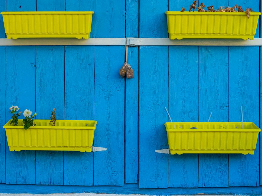 Mastering Container Gardening in Nigeria: A Complete Guide