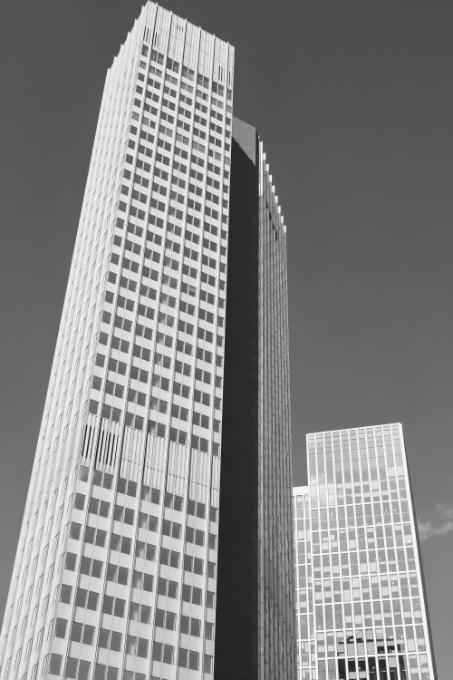 Free Black and white view of modern high-rise buildings in Frankfurt am Main. Stock Photo