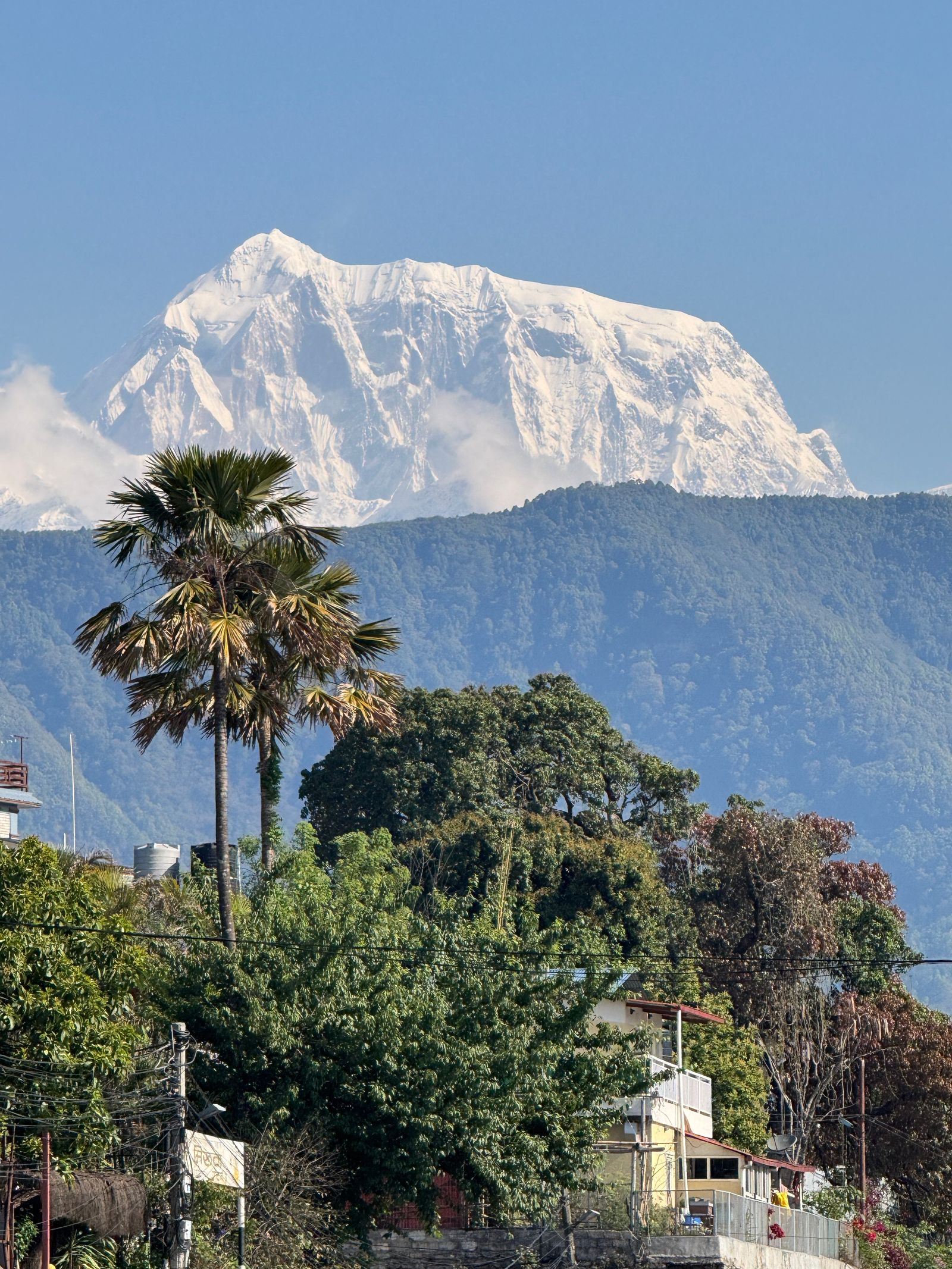 The snow covered Annapurna range rising above wooded ridges and rooftops at Pokhara in Nepal