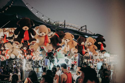 People Gathering in a Street With Animal Plush Toys