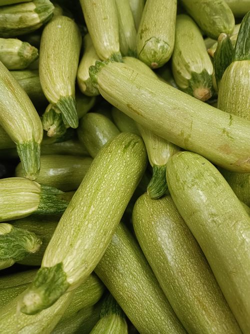 Free A close-up view of fresh green zucchini showing texture and freshness. Stock Photo