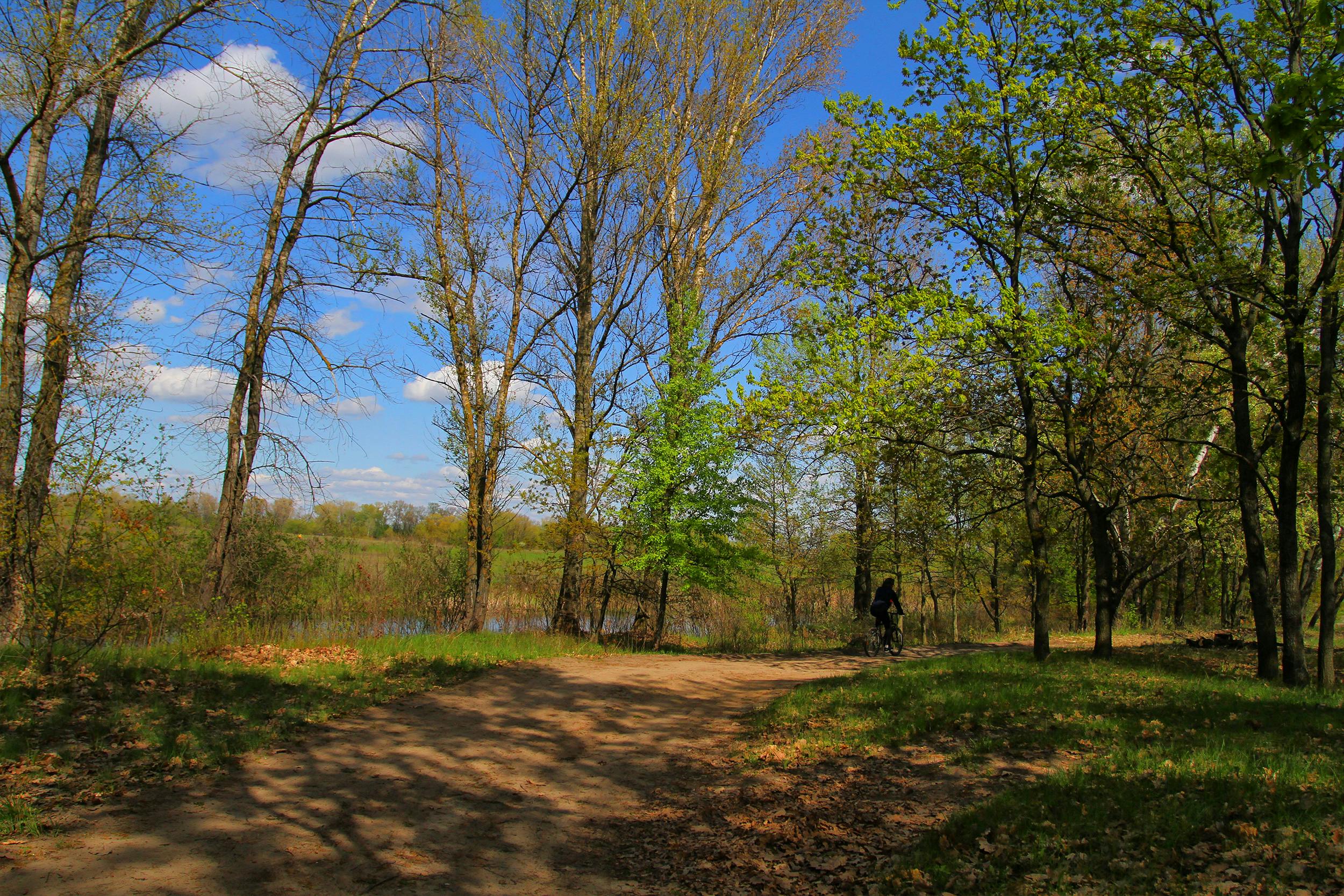 DuPage Forest Preserve executive director leaving for city manager job in Florida — Photo by Сокіл Sokil on Pexels