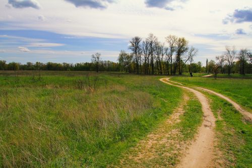 Free A winding dirt path through a lush green meadow with trees under a bright sky. Stock Photo