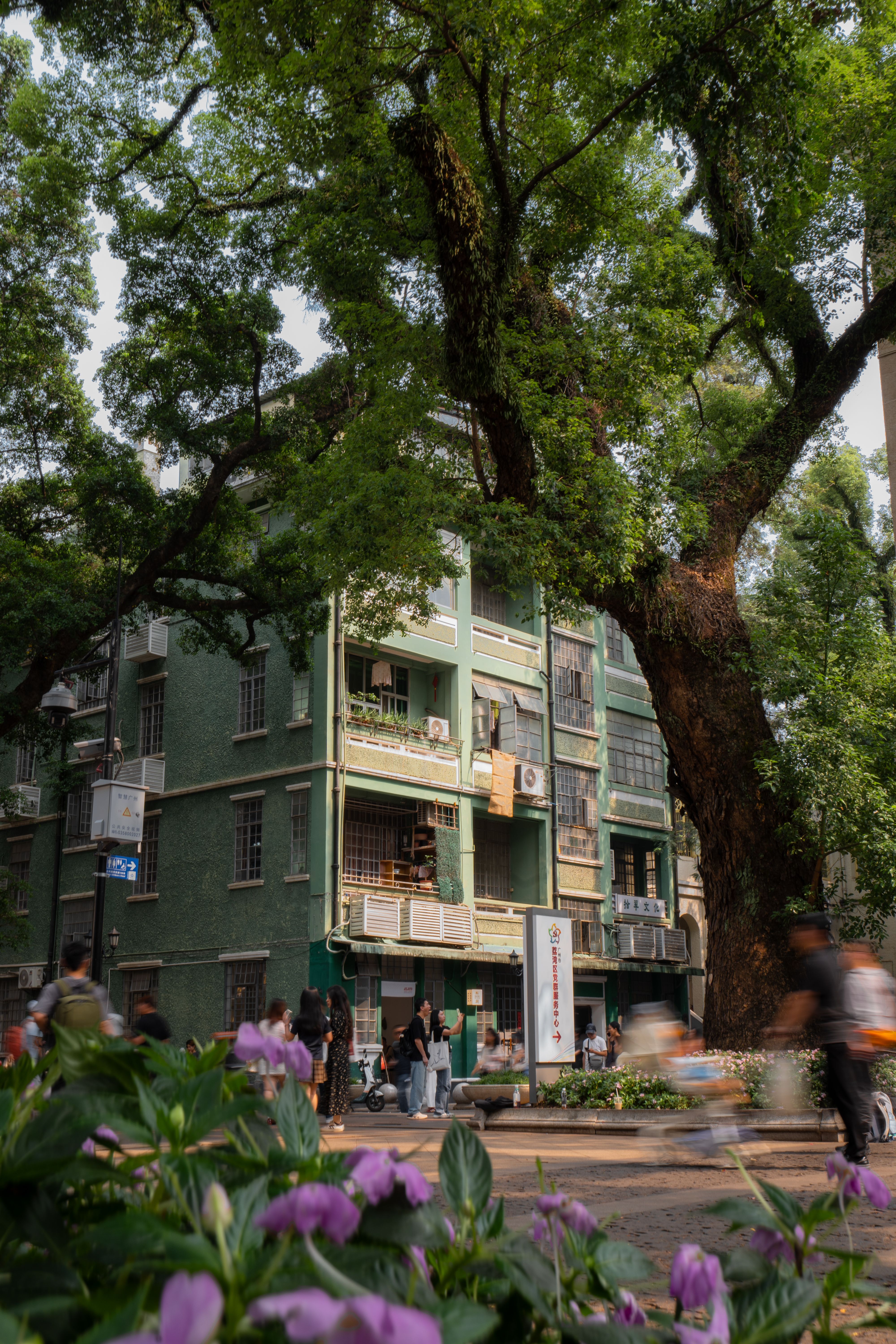 A historic building with a massive tree on a lively urban street, capturing city life.