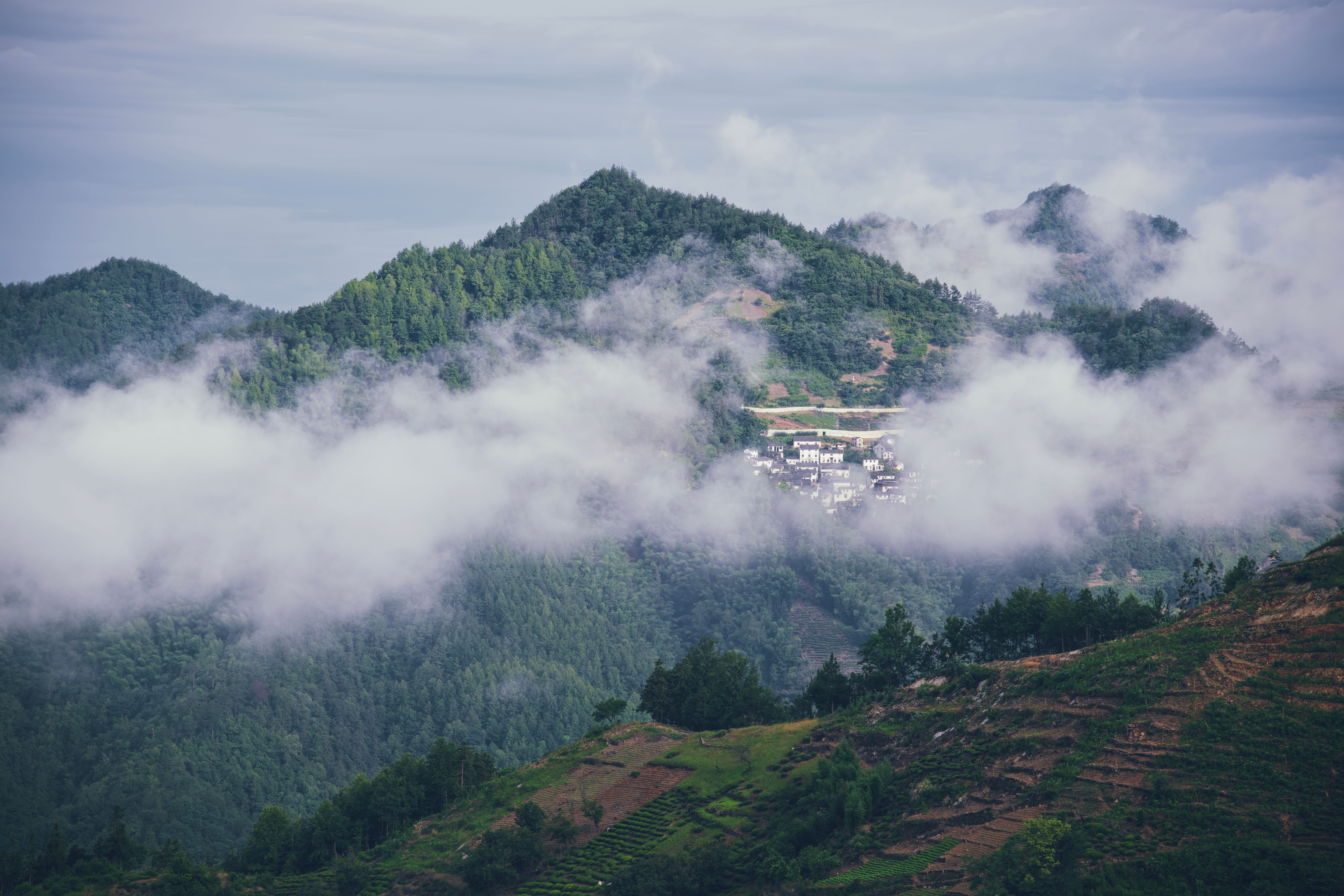 蒙顶山茶山 梯田 云雾