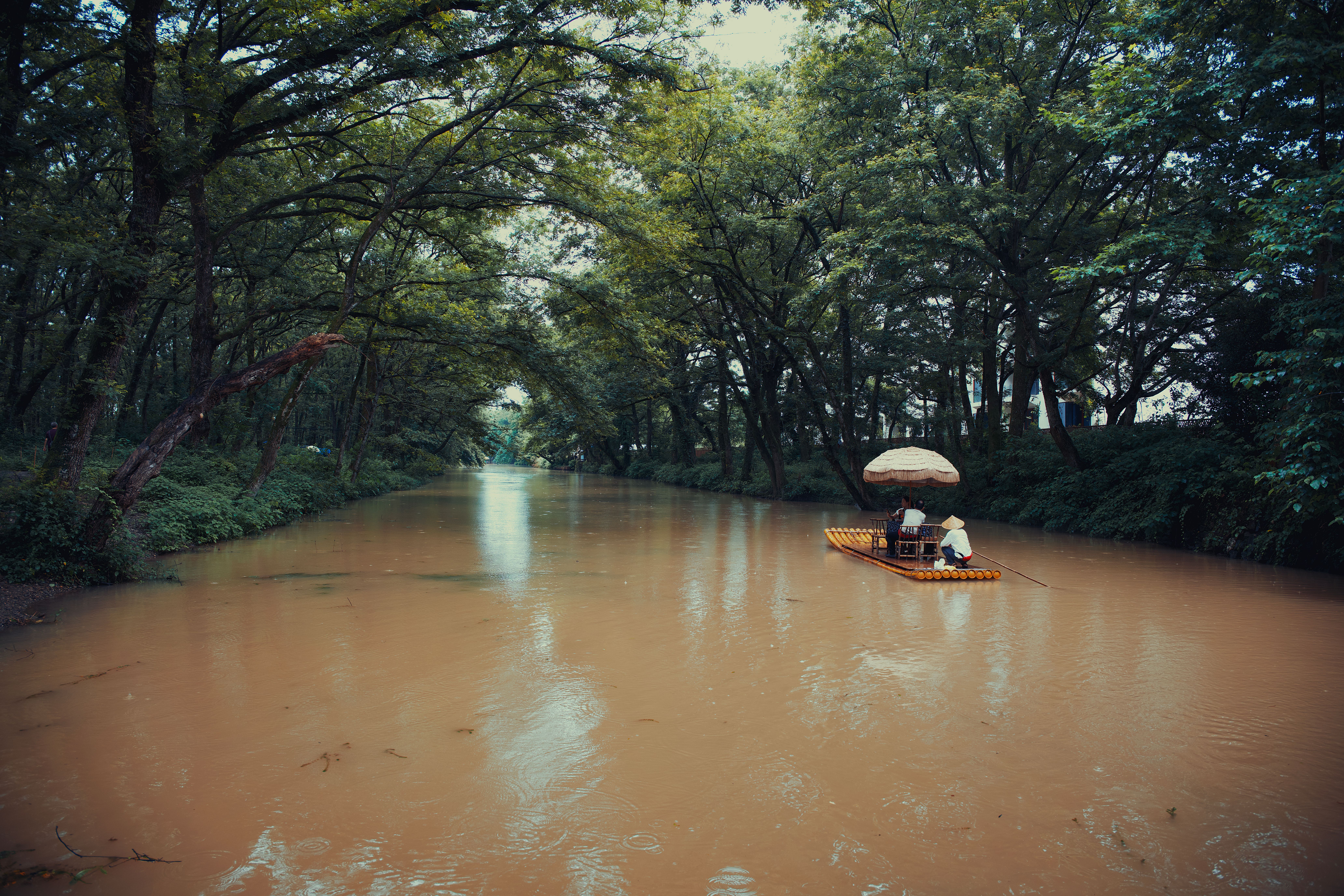 Tranquil River Rafting through Lush Forest · Free Stock Photo