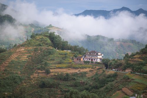 Free Misty mountain landscape with a villa on a terraced hillside, lush greenery. Stock Photo