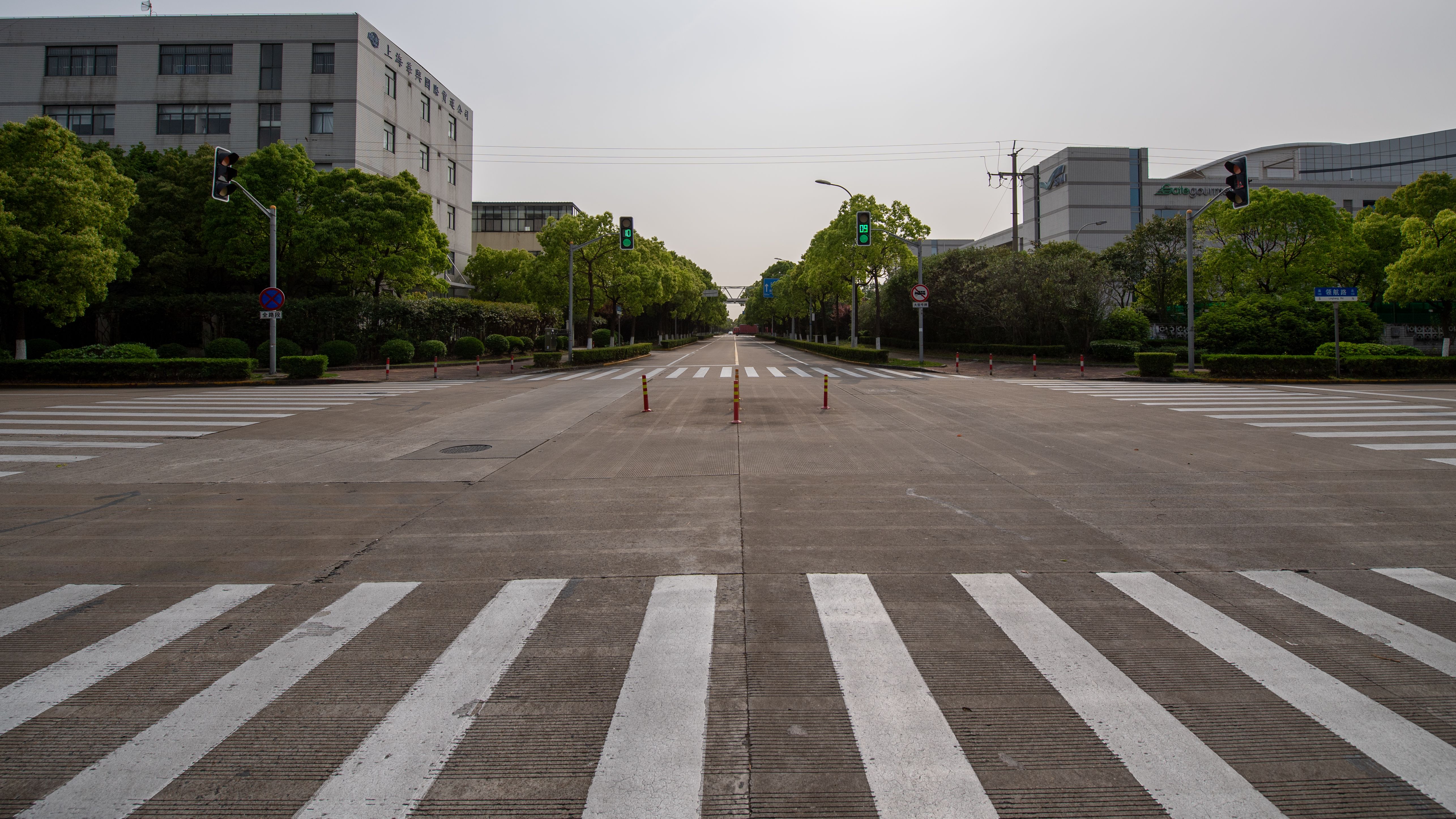 An empty intersection in Shanghai, China, showcasing urban planning and green spaces.
