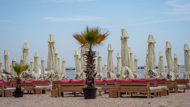 Tranquil beach scene in Croatia with closed umbrellas, loungers, and palm trees.